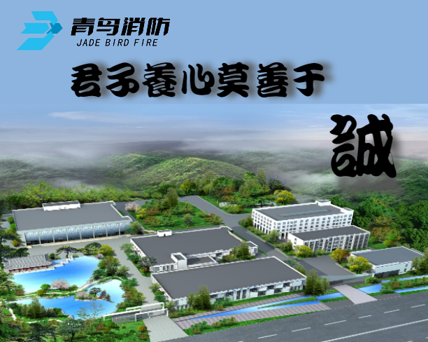 beat365最新版体育