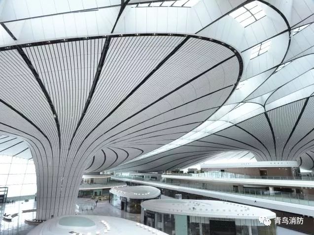 beat365最新版体育