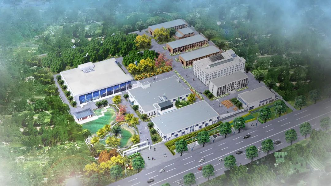 beat365最新版体育