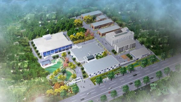 beat365最新版体育